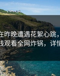 主持人在昨晚遭遇花絮心跳，蘑菇影视在线观看全网炸锅，详情探秘
