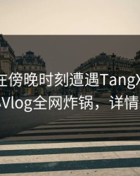 神秘人在傍晚时刻遭遇TangXin炸锅，糖心Vlog全网炸锅，详情围观