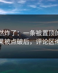 群里突然炸了：一条被置顶的回复的前因后果被点破后，评论区彻底翻车