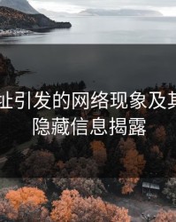 51网网址引发的网络现象及其背后的隐藏信息揭露