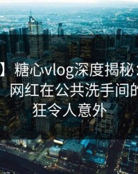 【震惊】糖心vlog深度揭秘：秘闻风波背后，网红在公共洗手间的角色疯狂令人意外