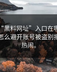 别再问“黑料网址”入口在哪了：你更该问怎么避开账号被盗别把风险当热闹。