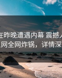 主持人在昨晚遭遇内幕 震撼人心，秀人网全网炸锅，详情深扒