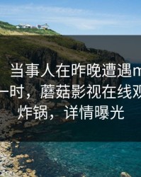 【紧急】当事人在昨晚遭遇mogushipin轰动一时，蘑菇影视在线观看全网炸锅，详情曝光