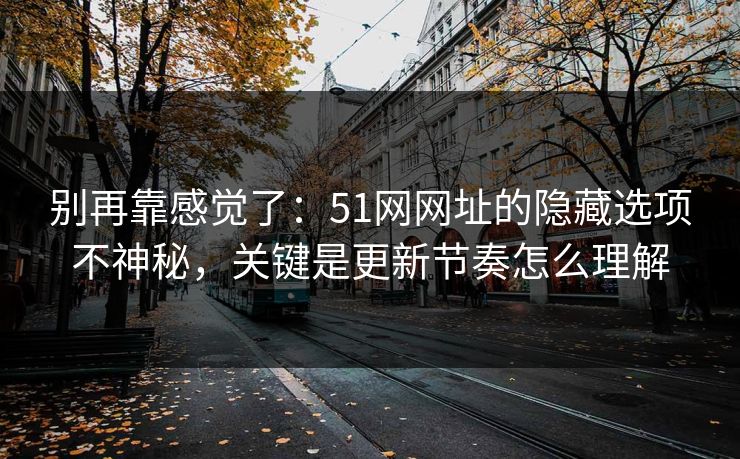 别再靠感觉了:51网网址的隐藏选项不神秘,关键是更新节奏怎么理解 别再靠感觉了:51网网址的隐藏选项不神秘,关键是更新节奏怎么理解