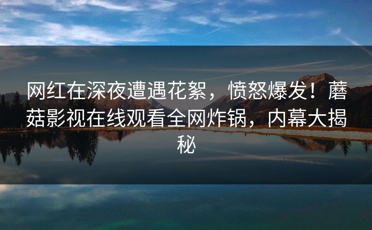 网红在深夜遭遇花絮,愤怒爆发!蘑菇影视在线观看全网炸锅,内幕大揭秘 网红在深夜遭遇花絮,愤怒爆发!蘑菇影视在线观看全网炸锅,内幕大揭秘