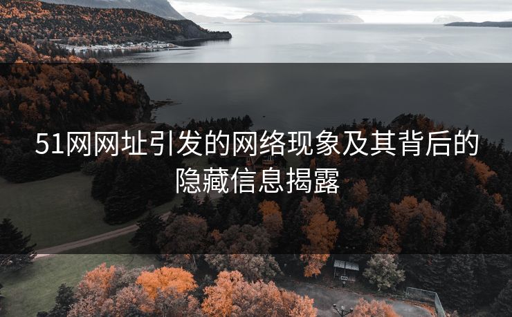 51网网址引发的网络现象及其背后的隐藏信息揭露